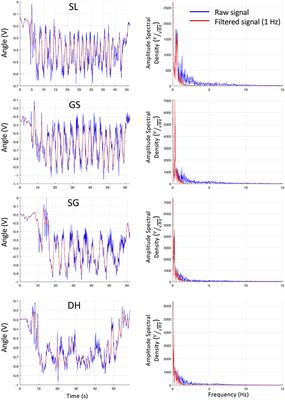 On-Field Ski Kinematic According to Leg and Discipline in Elite Alpine Skiers